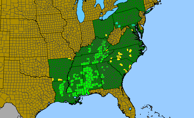 The range of Magnolia macrophyllaa